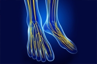How Poor Circulation Impacts the Feet