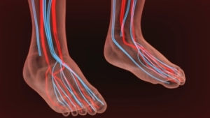 Noticeable Symptoms of Neuropathy