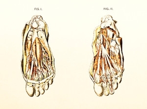 Possible Causes of Poor Circulation